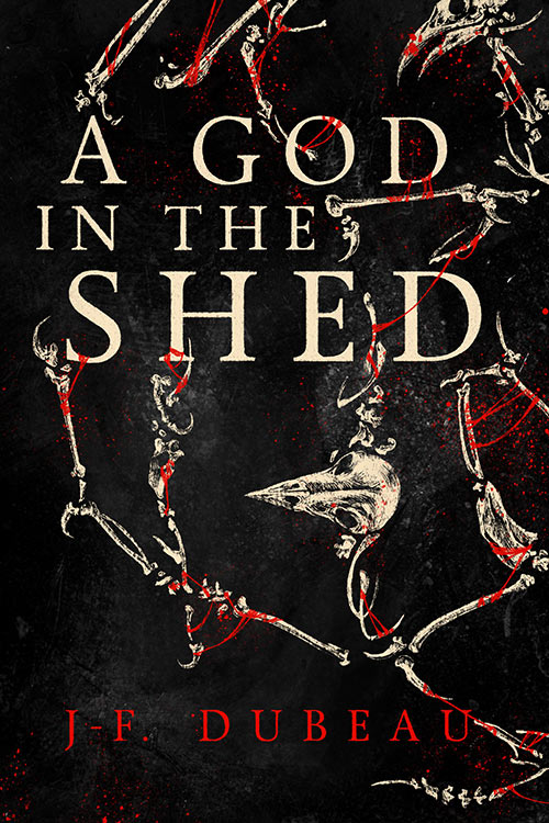 Project God In The Shed Book Cover